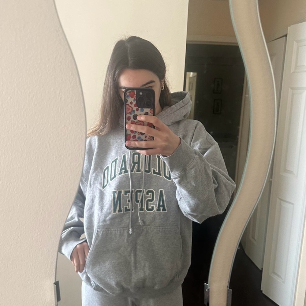 Brandy Melville Colorado Aspen Gray Hoodie